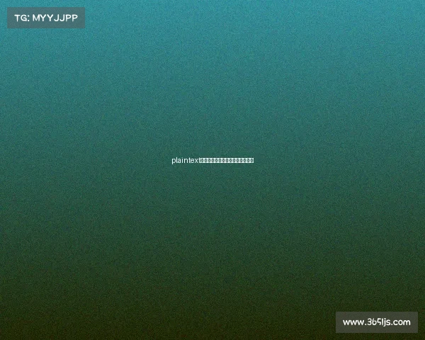 plaintext电子竞技赛事工作人员不完全指南